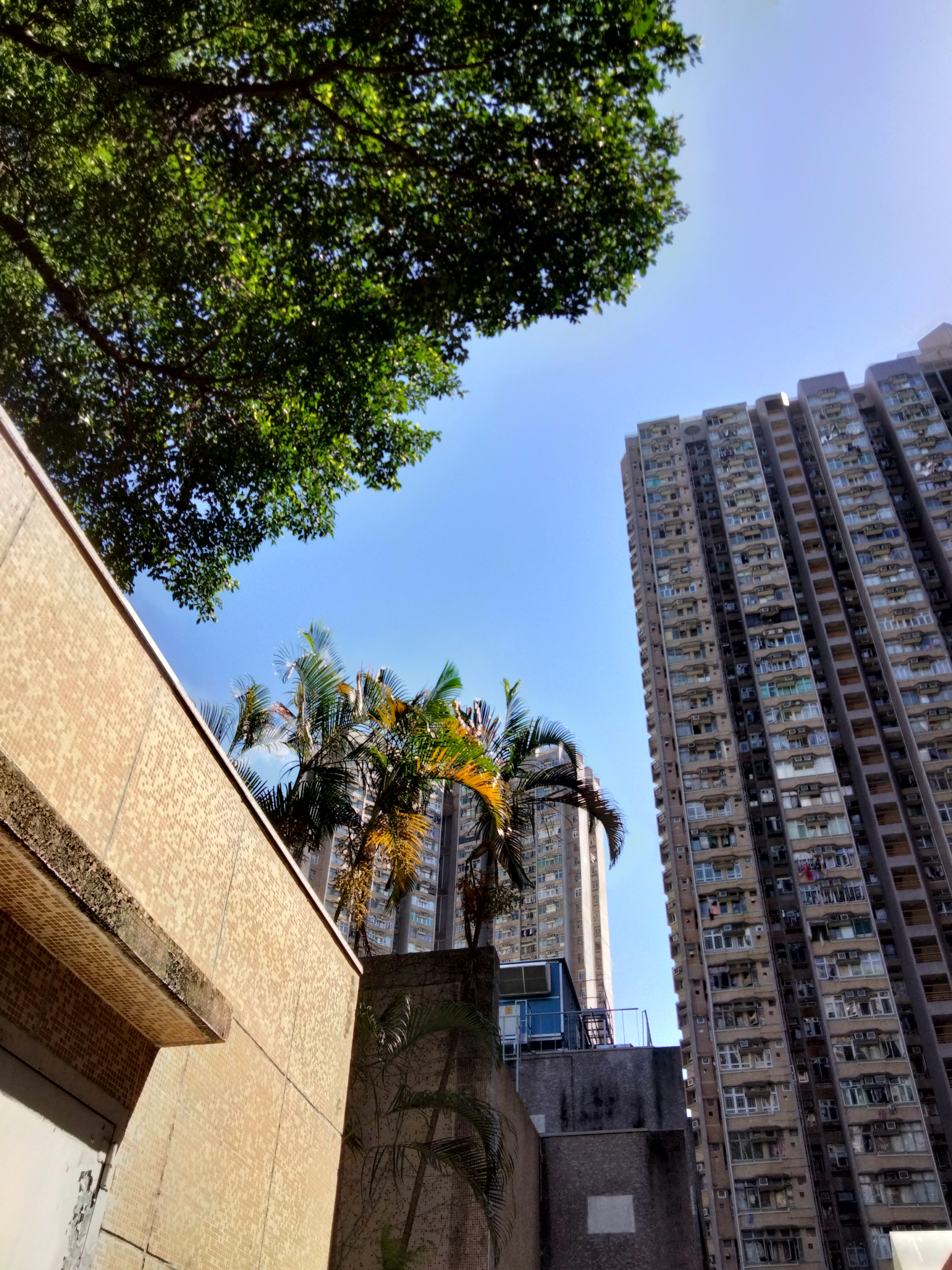 洛阳地久物业管理有限公司